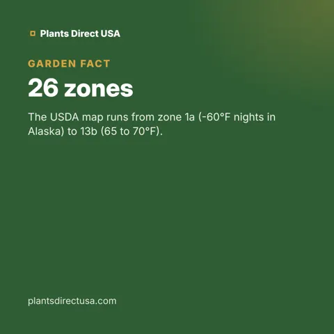 26 zones