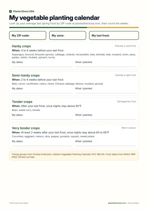 Vegetable planting calendar worksheet