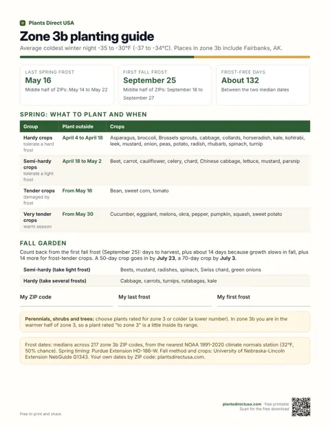 Zone 3b planting guide